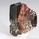 Tantalite-(Fe) with Tantalite-(Mn) - illustrated - image 4
