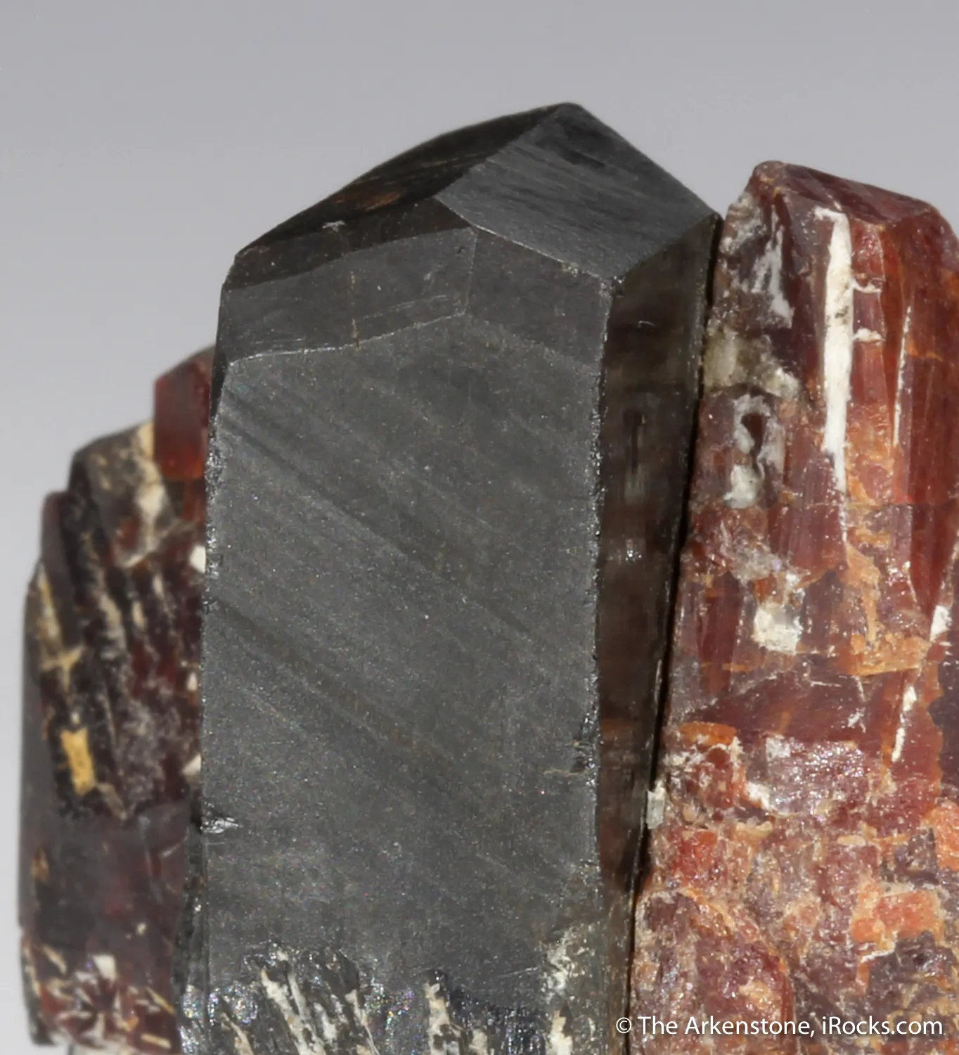 Tantalite-(Fe) with Tantalite-(Mn) - illustrated - image 5