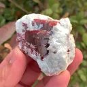 specimen video