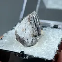 Tantalite from Alto Ligonha Pegmatite Field, Zambezia Province, Mozambique - image 2