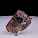specimen video
