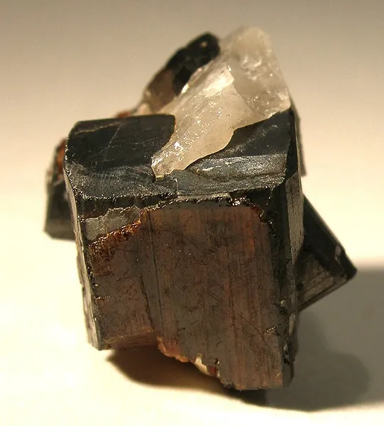 Tantalite-(Mn) image