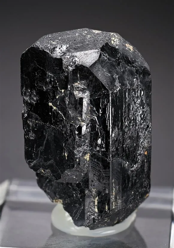 Tantalite-(Mn) image