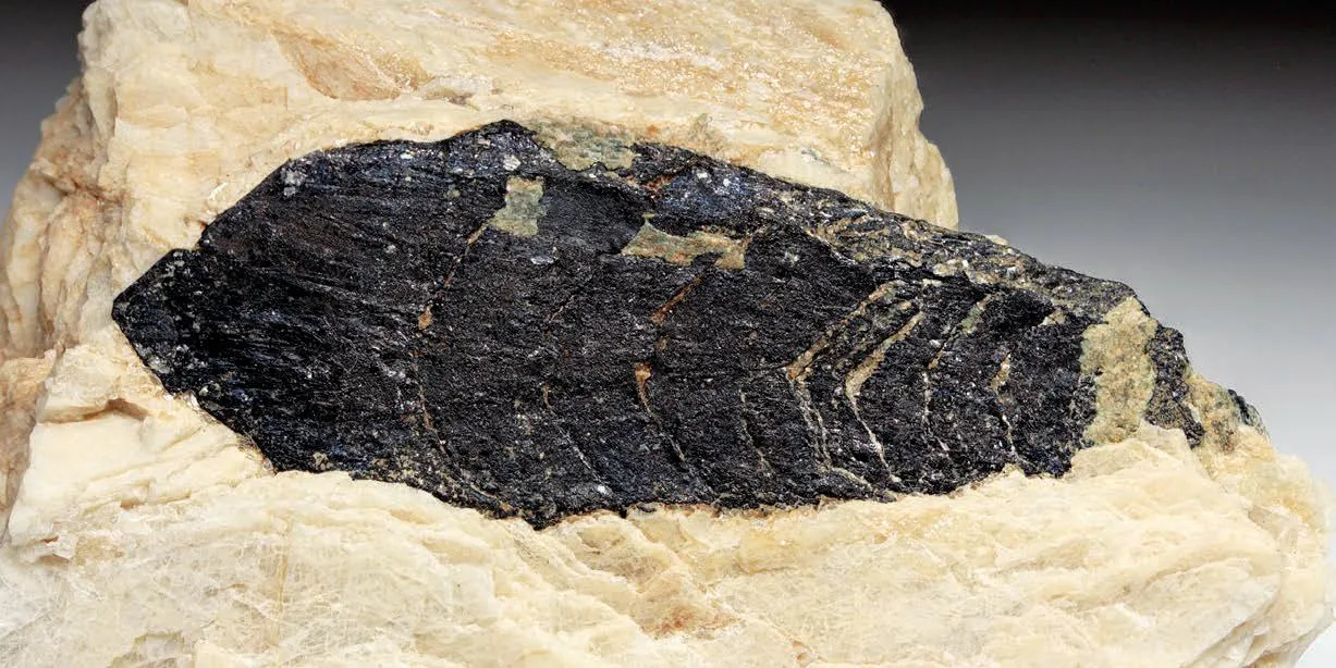 Tantalite-(Mn) - image 1