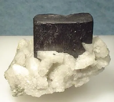 Tantalite-(Mn), Albite image