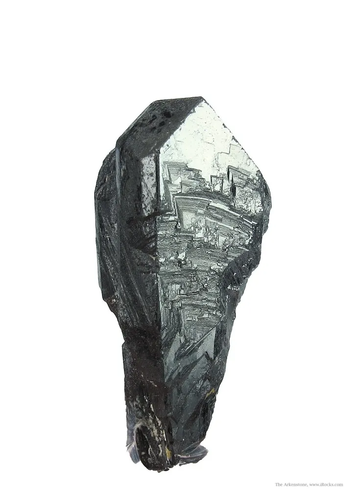 Tantalite-(Mn) image