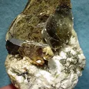 Tantalite-(Mn), Muscovite - image 1