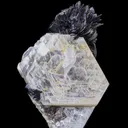 Tantalite on Muscovite with Schorl - image 8