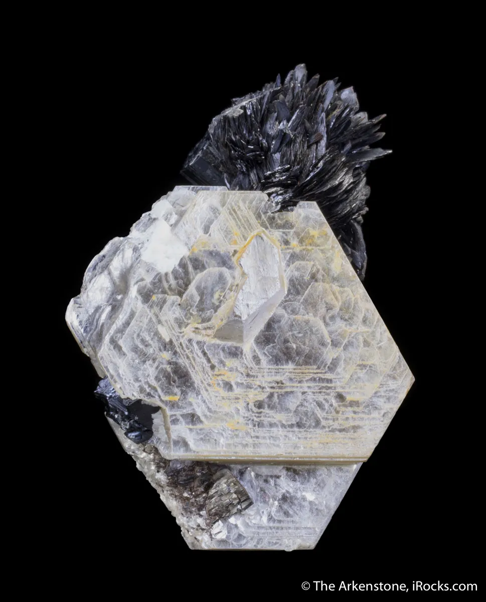 Tantalite on Muscovite with Schorl - image 8