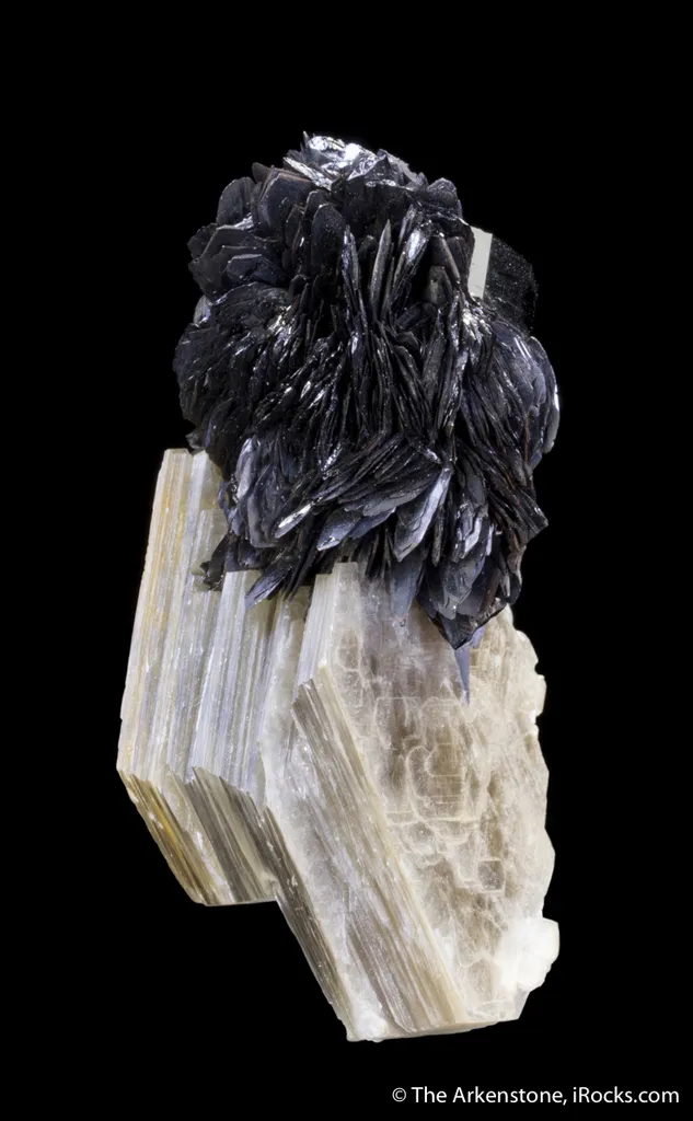 Tantalite on Muscovite with Schorl - image 7