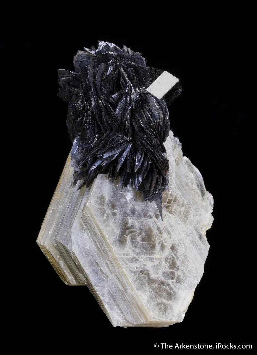 Tantalite on Muscovite with Schorl - image 6