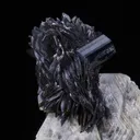 Tantalite on Muscovite with Schorl - image 3