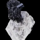 Tantalite on Muscovite with Schorl - image 4