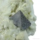 Tantalite Ps Microlite - image 7