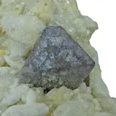 Tantalite Ps Microlite - image 4