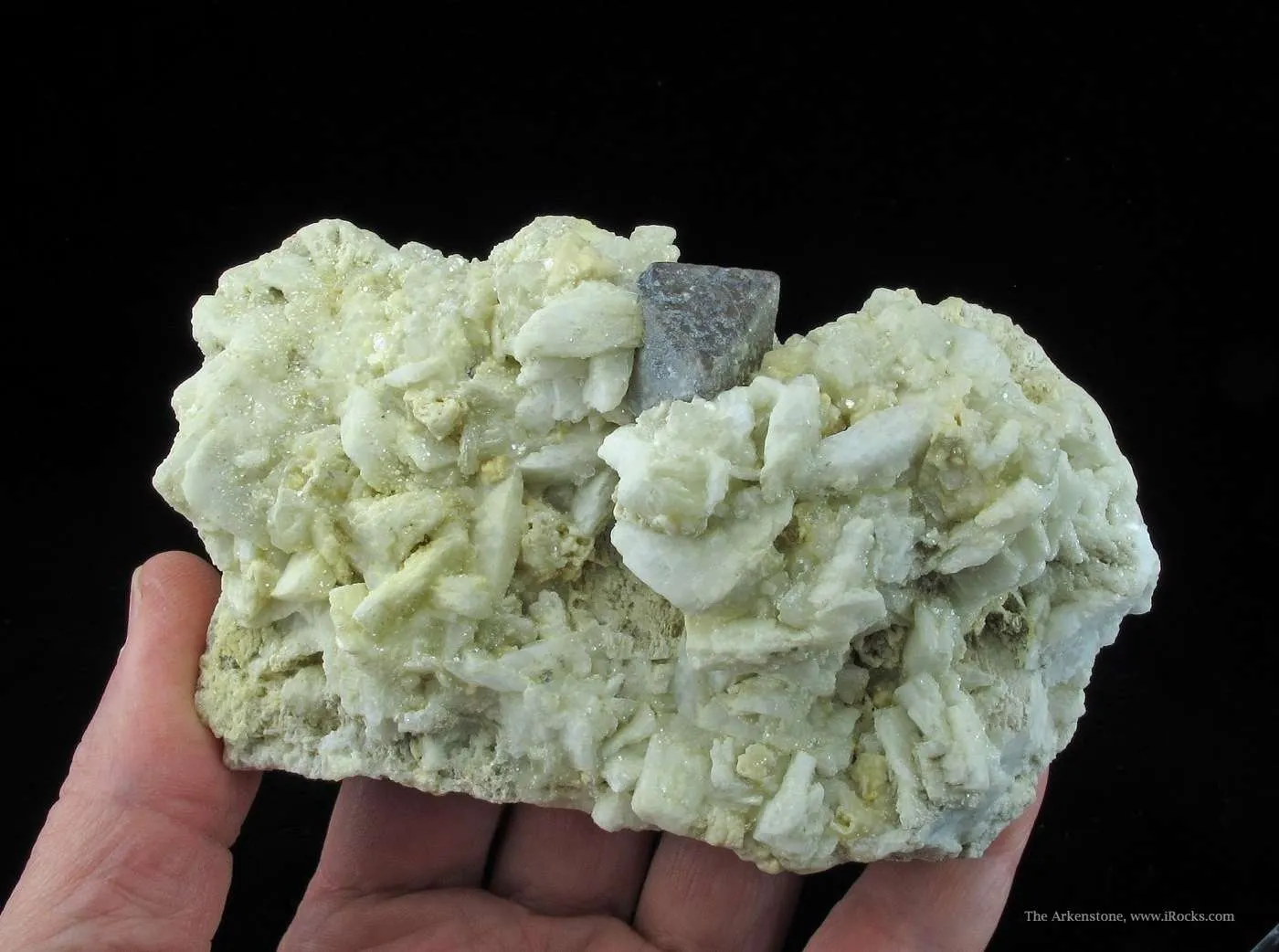 Tantalite Ps Microlite - image 8