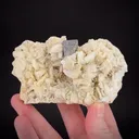 Tantalite Ps Microlite - image 1