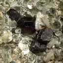 Tantalite, Quartz, Lepidolite - image 2
