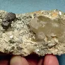 Tantalite, Quartz, Lepidolite - image 1