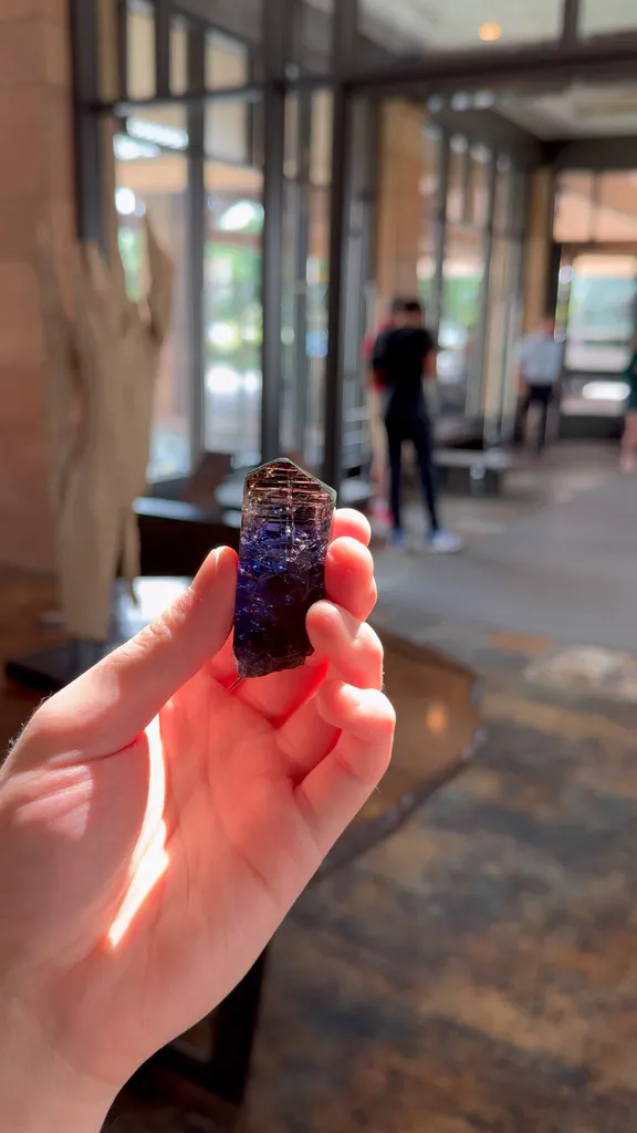 specimen video