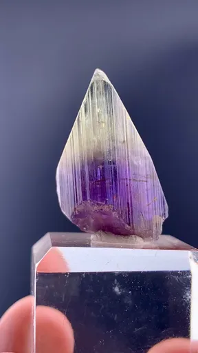 specimen video