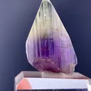 specimen video