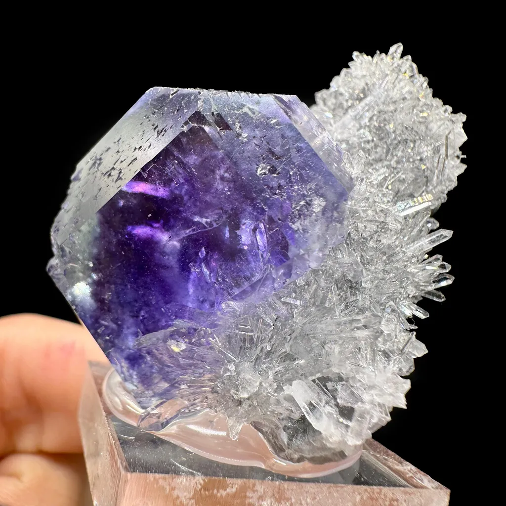 Tanzanite Fluorite With Quartz Natural Mineral Specimen image