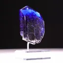 specimen video