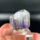 specimen video