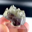 specimen video