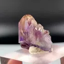 specimen video