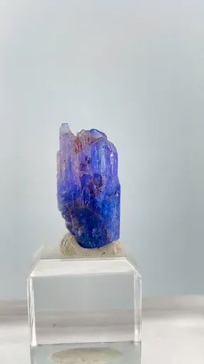 specimen video