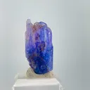 specimen video