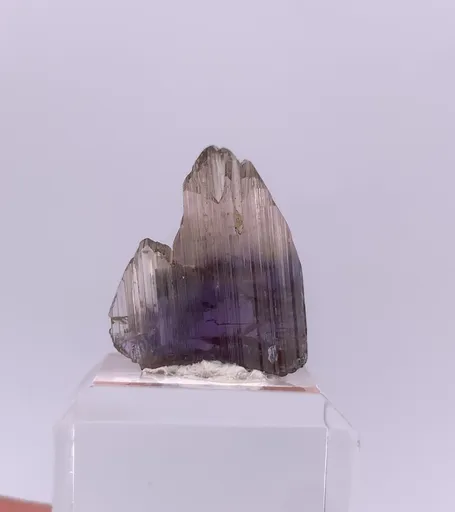 specimen video