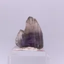 specimen video