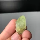 specimen video
