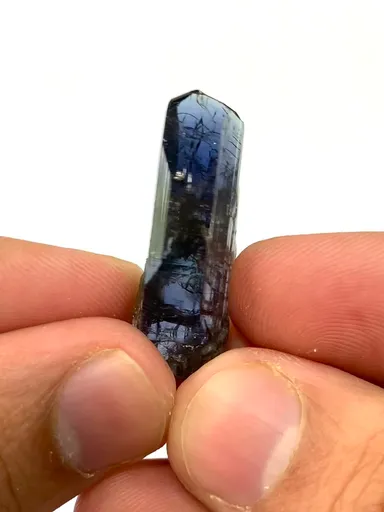 specimen video