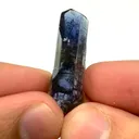 specimen video