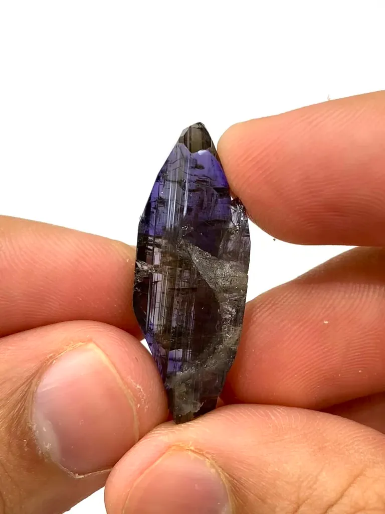 specimen video