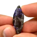 specimen video