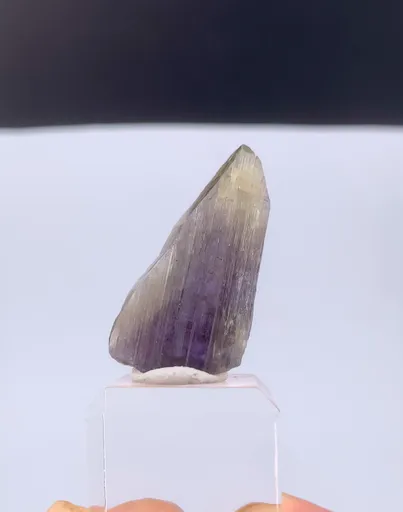 specimen video