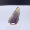 specimen video