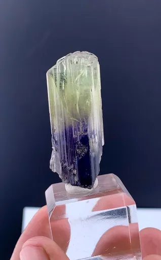 specimen video