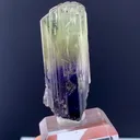 specimen video