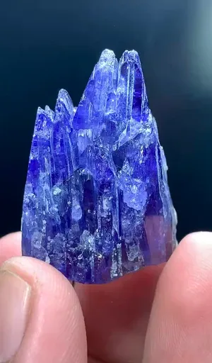 specimen video
