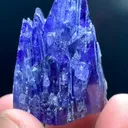 specimen video
