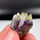 specimen video