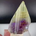 specimen video