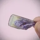 specimen video