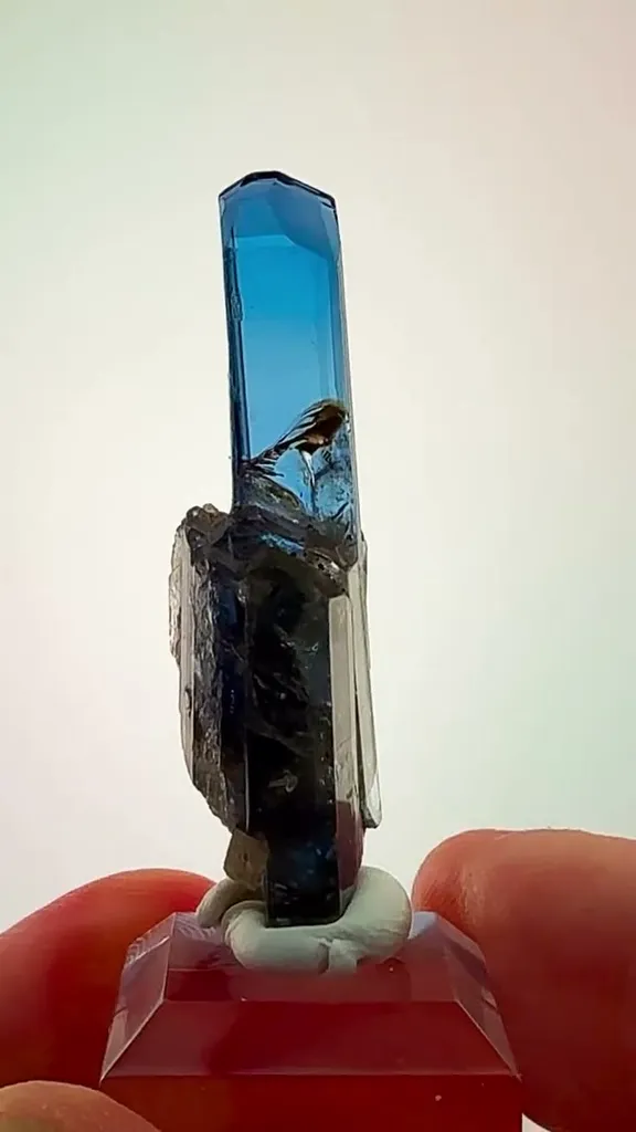 Tanzanite Royalty image